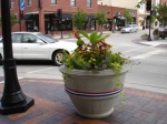 Beautiful Planters
