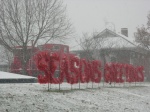 Snow in Howard Station Park
