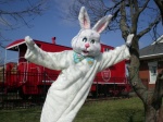Bunny Hop